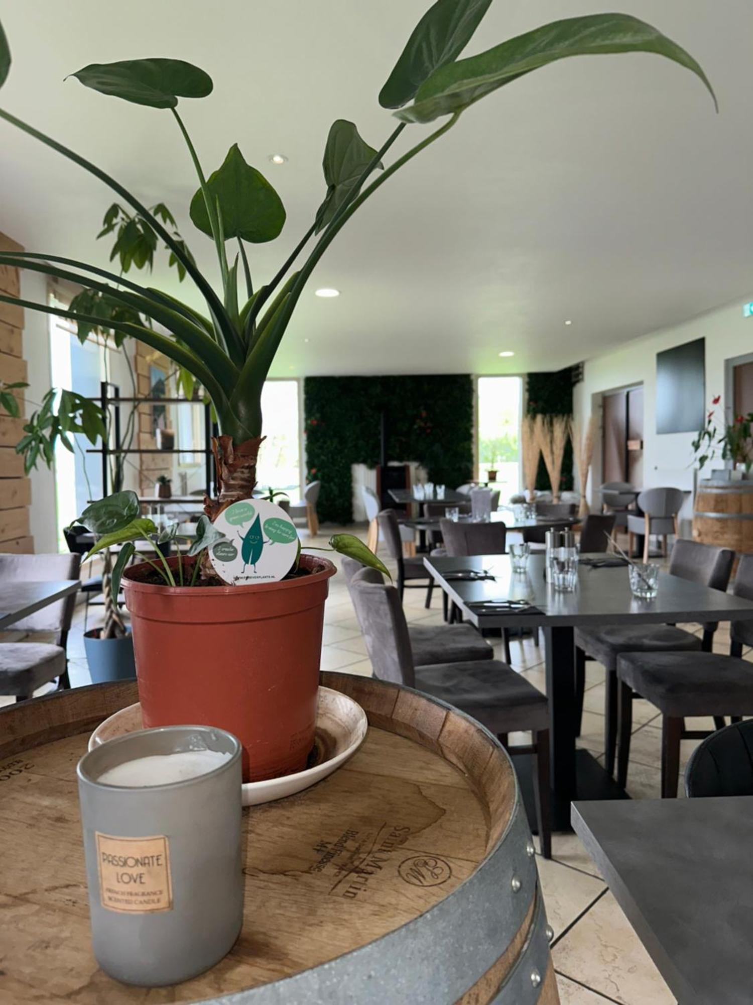 Logis Hotel Volcan Sancy Nebouzat Экстерьер фото